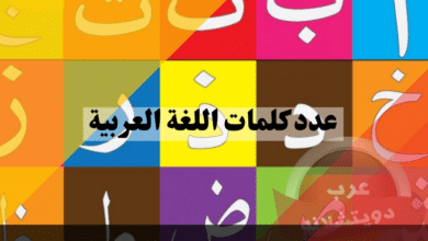 عدد كلمات اللغة العربية ما هي مميزات اللغة العربية وتأثيرها على باقي اللغات الاخرى؟