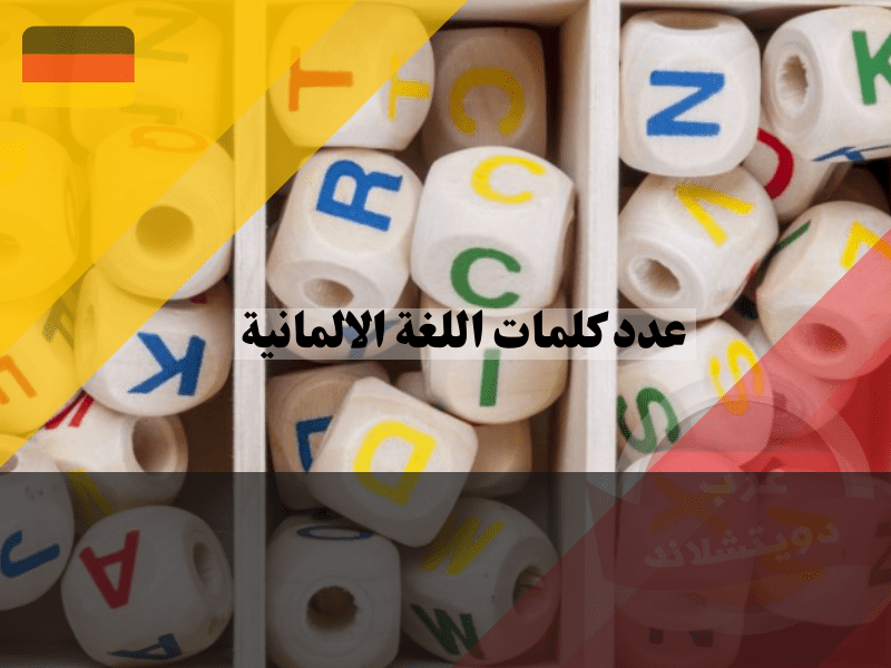 عدد الكلمات الألمانية التي تحتاج لتعلمها