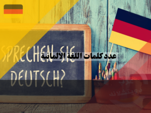 عدد كلمات اللغة الالمانية التي يجب حفظها