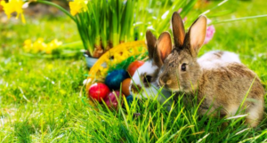 أسطورة الأرنب في عيد الفصح