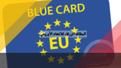 البطاقة الزرقاء للاتحاد الأوروبي دليل الرواتب الجديدة وشروط خبراء IT بدون شهادة