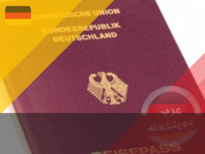 عدد السوريين الحاصلين على الجنسية الألمانية