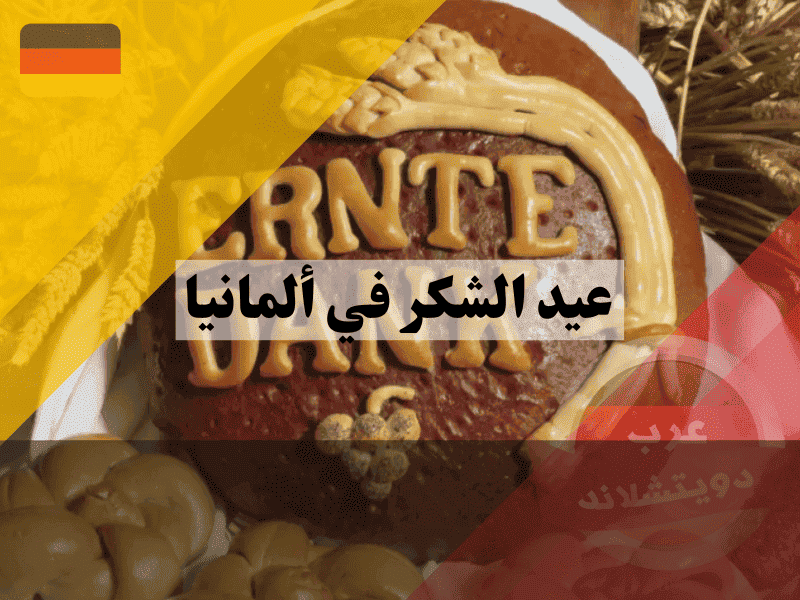 عيد الشكر في ألمانيا هل هو عطلة رسمية؟ اكتشف سر تيجان الحصاد والفرق عن أمريكا!