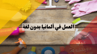 العمل في ألمانيا بدون لغة كيف تنجح في بناء حياة مهنية مستقرة؟