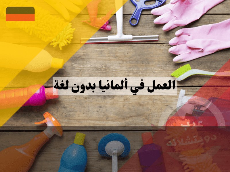 العمل في ألمانيا بدون لغة كيف تنجح في بناء حياة مهنية مستقرة؟