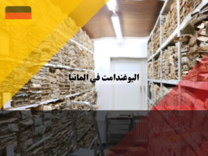 عرب دويتشلاند (71)