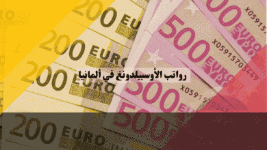 أعلى رواتب الأوسبيلدونغ في ألمانيا تخصصات النخبة والأجور الصافية